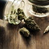 Ask the Expert Q&A: Cannabis Industry’s Growth Shapes Risk Considerations